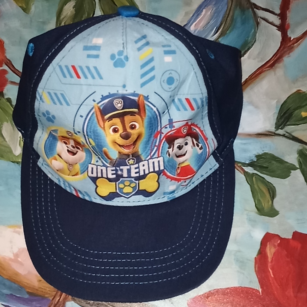 Paw patrol hat.